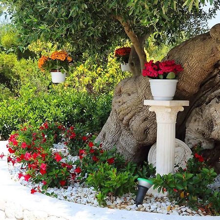 Villa Santo Stefano โมโนโปลี ภายนอก รูปภาพ