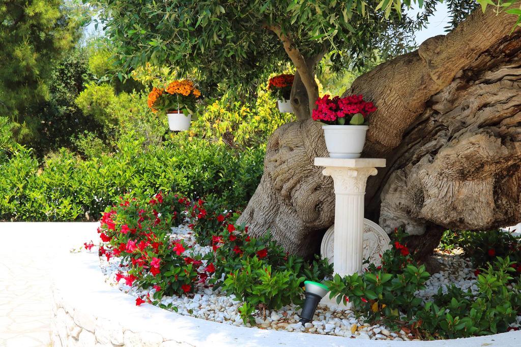 Villa Santo Stefano โมโนโปลี ภายนอก รูปภาพ